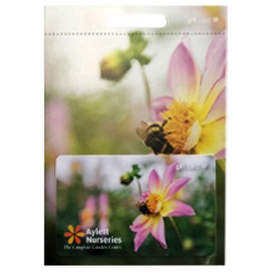 Aylett Gift Card - Bee On Dahlia
